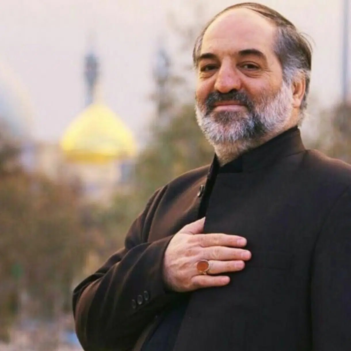 نریمان پناهی